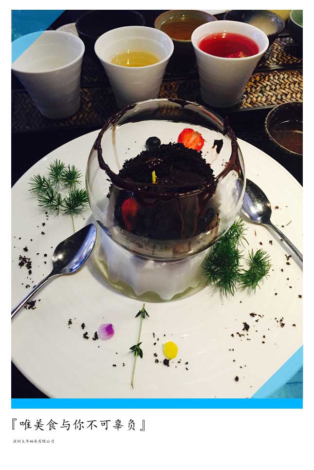 2015年第十二屆上海模型展，大華參展！